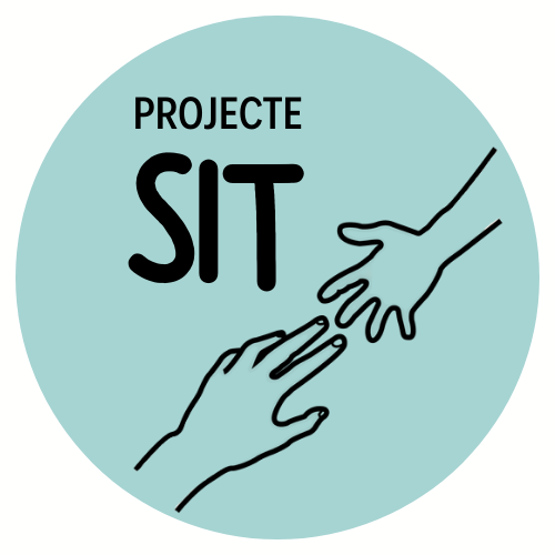 SIT: Safety, Inclusion & Technology